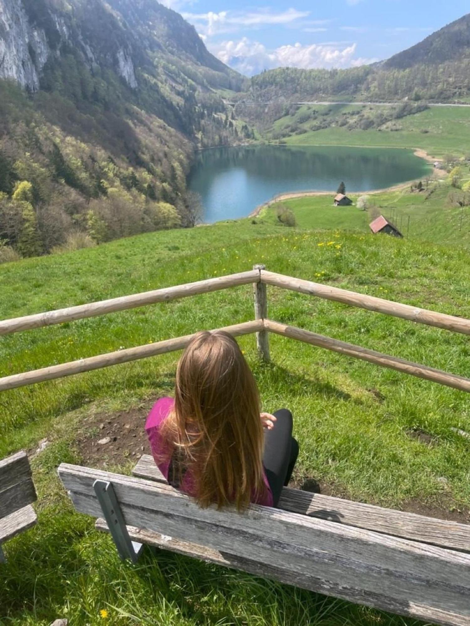 Lakehill72 Seelisberg Exteriér fotografie